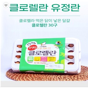 크로렐라 유정란   30구 2판