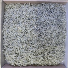 밥도둑 지리멸치 1.5kg(국산:여수시)