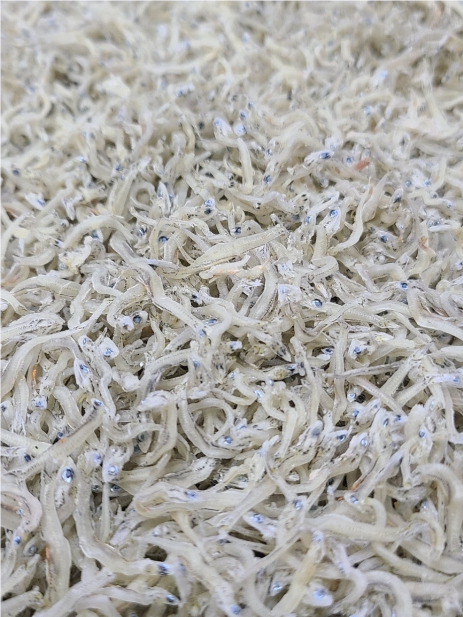 밥도둑 지리멸치 0.5kg(국산:여수시)