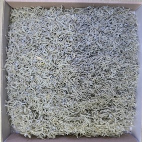 밥도둑 지리멸치 0.5kg(국산:여수시)