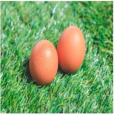 친환경무항생제 유정란30구 2판 (초란60구)