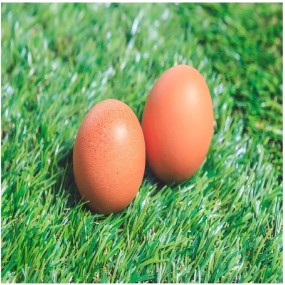 친환경무항생제 유정란30구 2판 (초란60구)